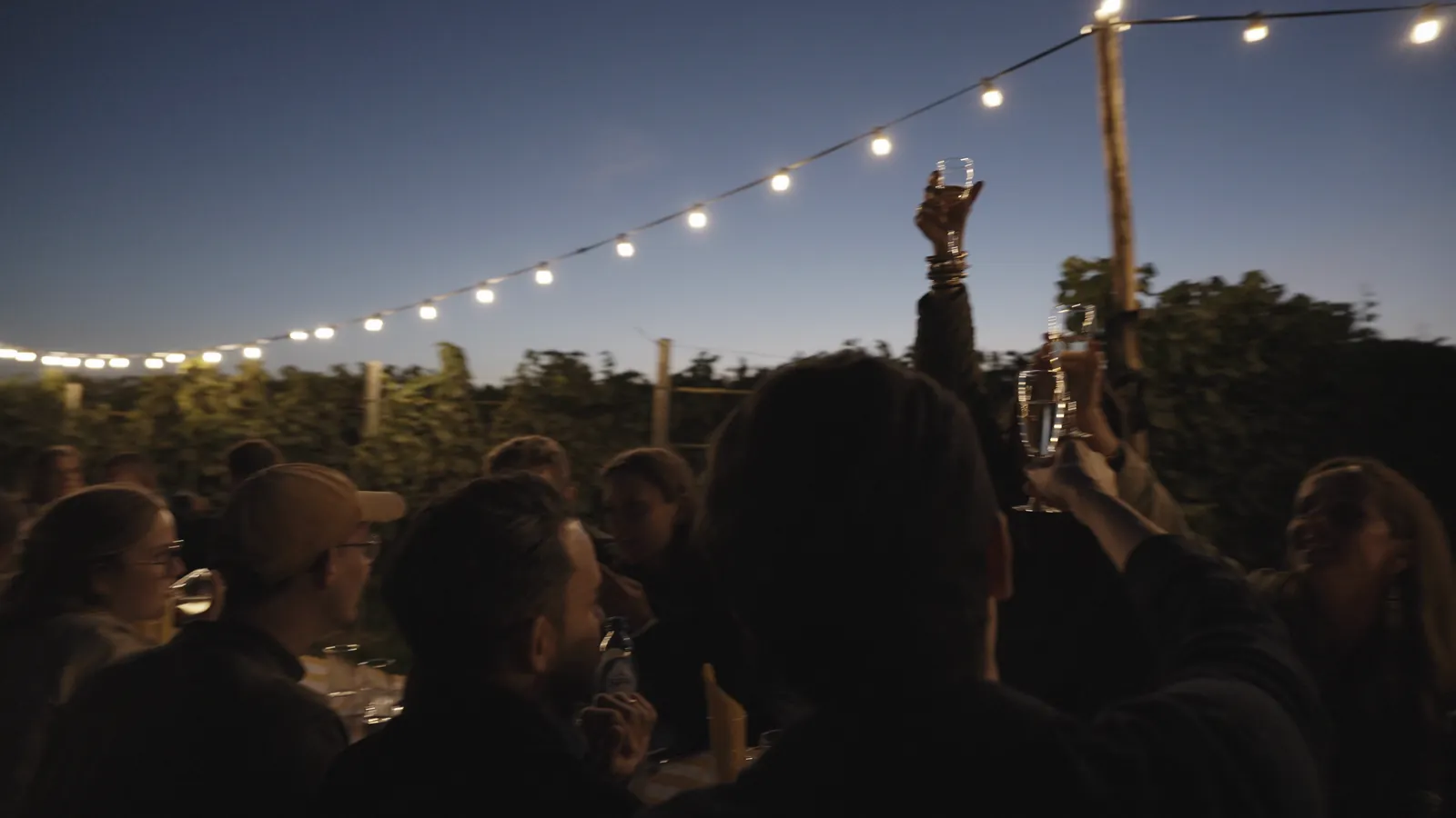 Convives qui lèvent leur verre sous une guirlande lumineuse, au crépuscule dans les vignes