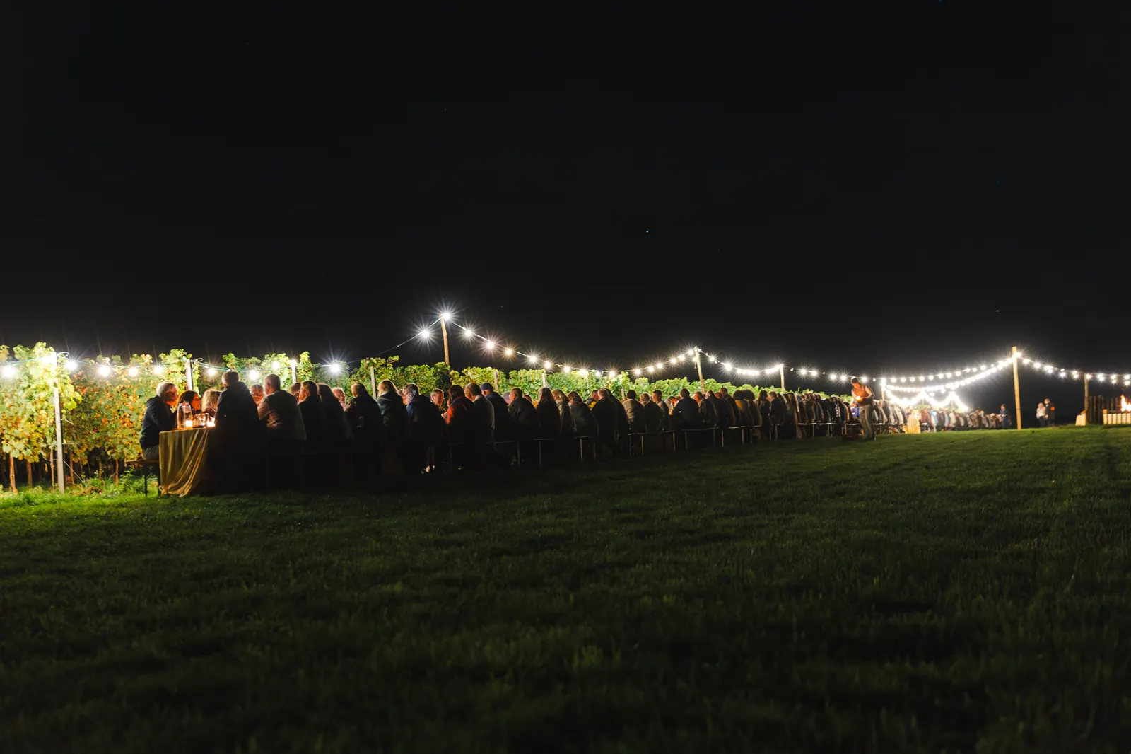 Longue tablée illuminée par des guirlandes lumineuses, la nuit au milieu des vignes
