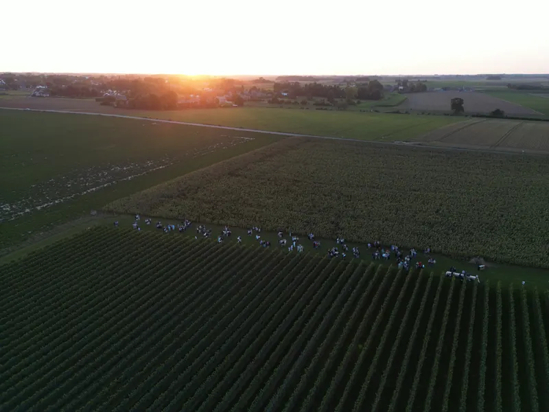Vue aérienne du domaine viticole au coucher du soleil, avec les invités entre les vignes