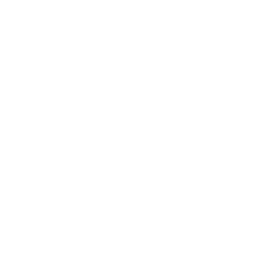 copaincochon